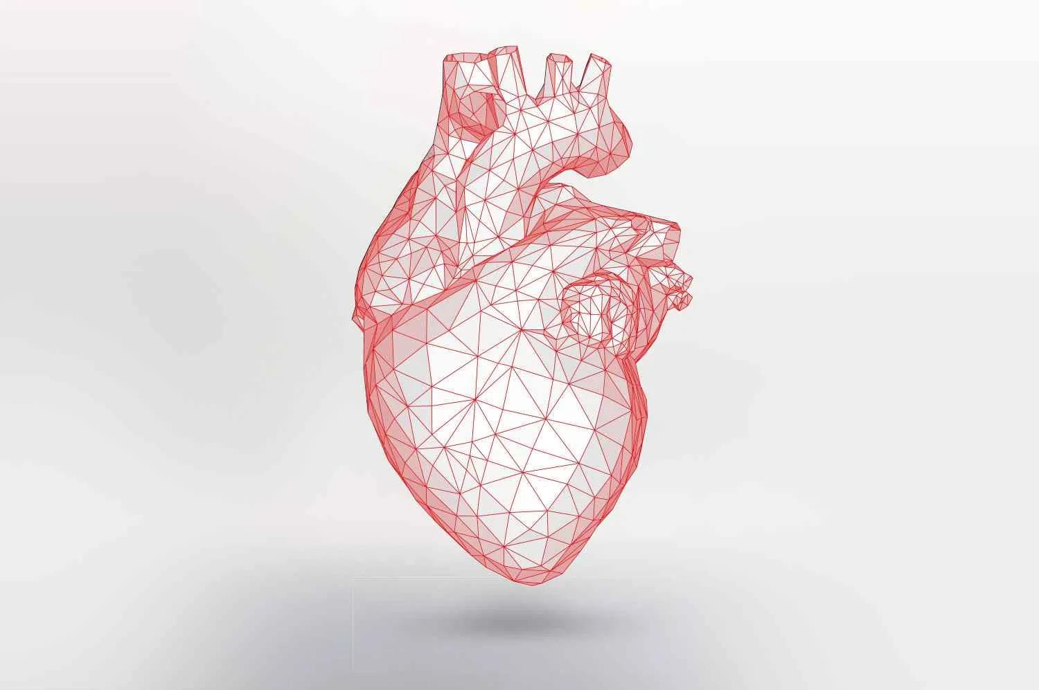 Cardiologie